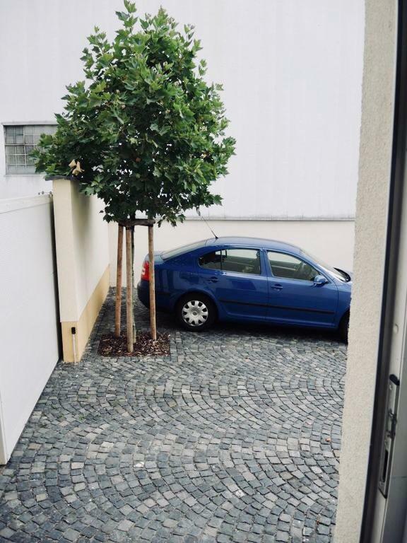 Modernes Apartment - Neustadt/Weinstrasse Stadt Neustadt an der Weinstraße Eksteriør bilde